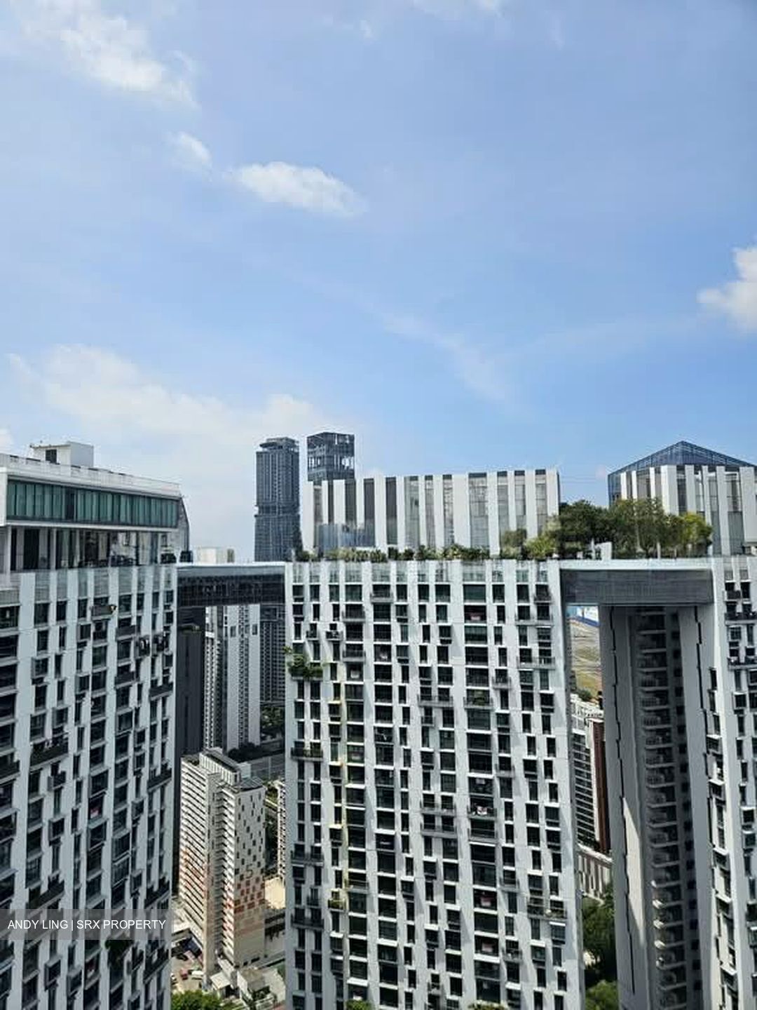 Blk 1D The Pinnacle@Duxton (Bukit Merah), HDB 5 Rooms #596577471